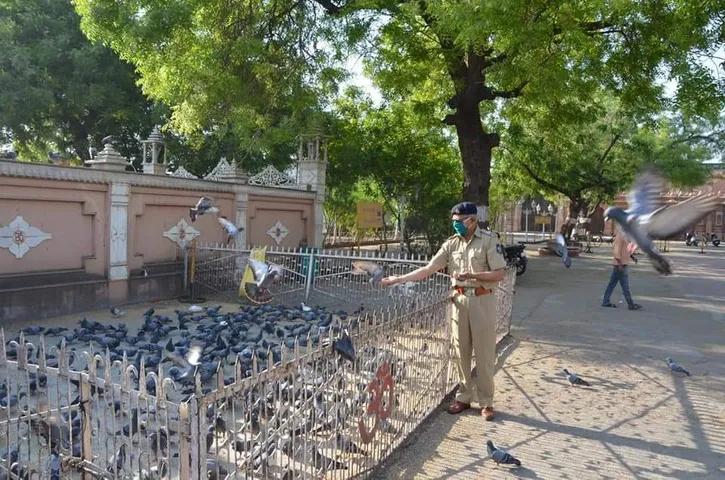 Kheda police shows unique sensitivity towards birds