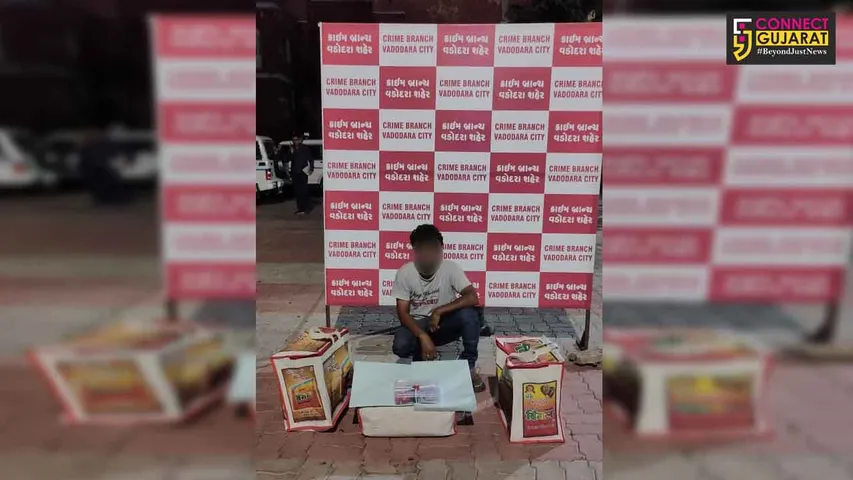 Vadodara crime branch busted fake mark sheet and degree certificates scam
