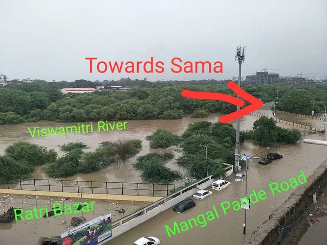 Environmentalists raise concern of flooding and water logging in Vadodara in case of no action by administration