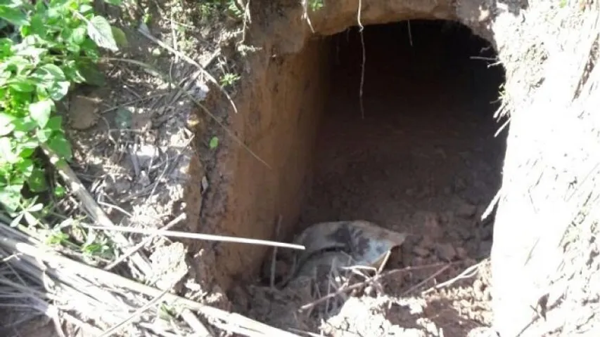 BSF detects tunnel along India-Pakistan border in J&K’s Samba