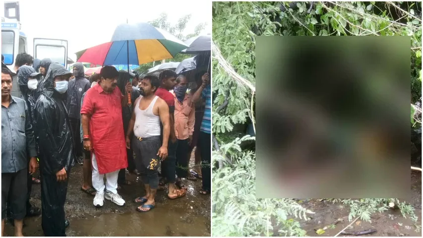 Woman crushed to death after tree fell on her in Vadodara