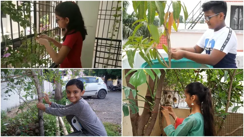 Students of Sant Kabir Indian International School in Vadodara celebrated Rakshabandhan with trees