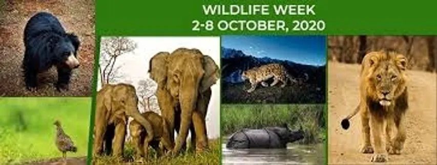 Celebration of Wildlife Week started from Friday 2nd October