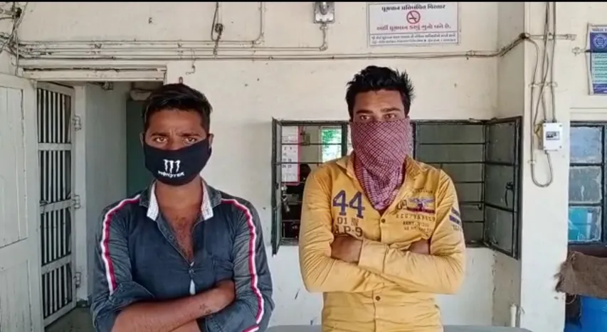 Vadodara Jawaharnagar police nabbed two persons with animal laden tempo