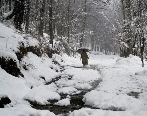 Intense winter begins in Jammu & Kashmir with sub-zero temperatures
