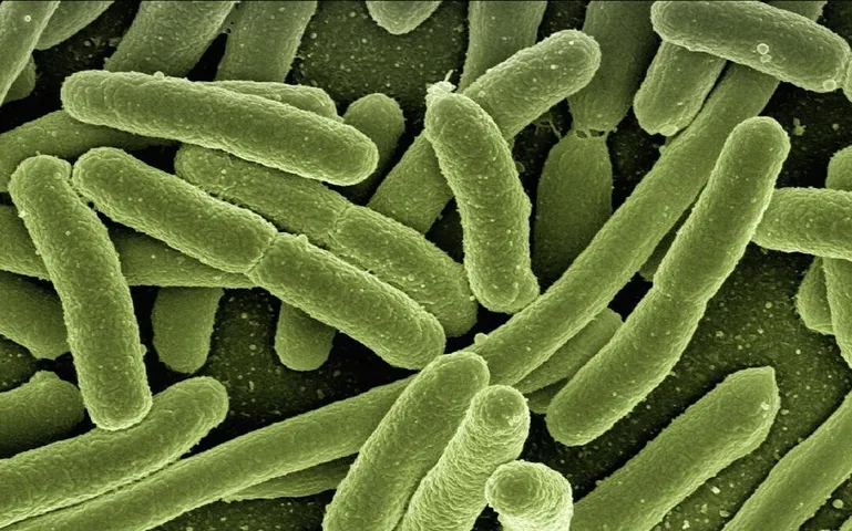 First death from Mucormycosis reported in Vadodara