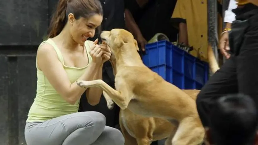 Shraddha Kapoor becomes voice of the voiceless yet again, appeals to punish people severely for mistreating animals