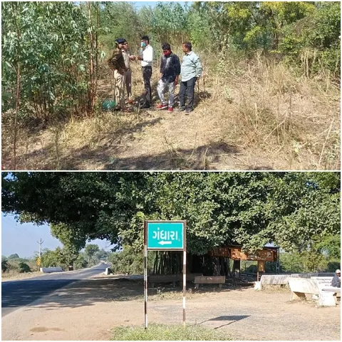 Body of youth found found near Gandhara village in Karjan