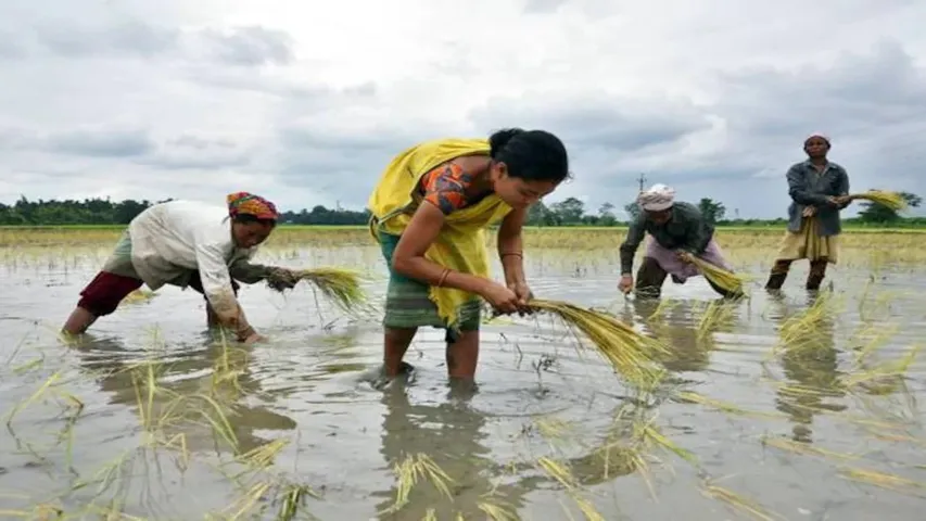 2.5 million UP farmers to be linked to Kisan Credit Card