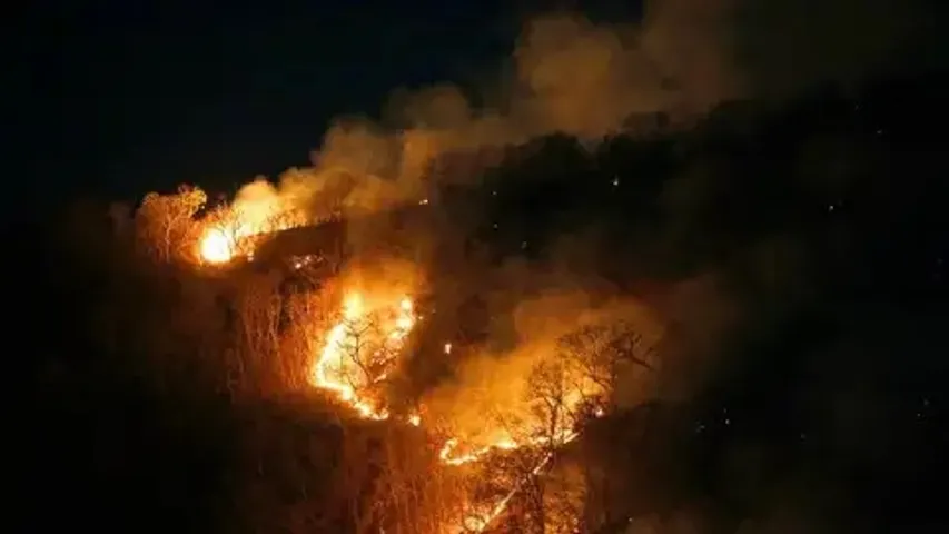 Odisha: Simlipal forest fire raging for 10 days