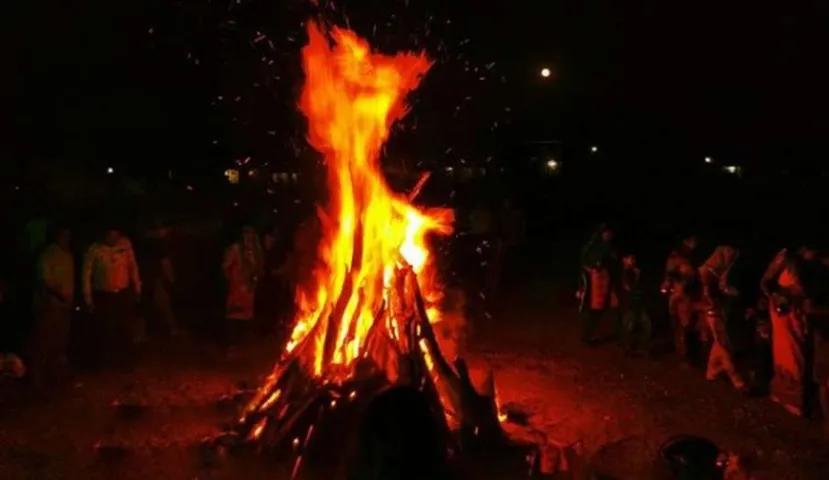 Use Gau Cast logs in Holika Dahan to purify atmosphere in Corona scare