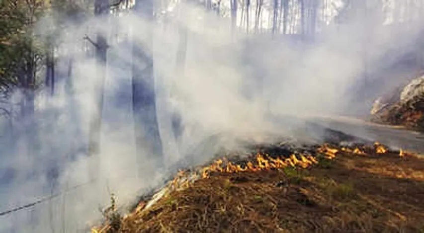 Uttarakhand witnessing unprecedented forest fires