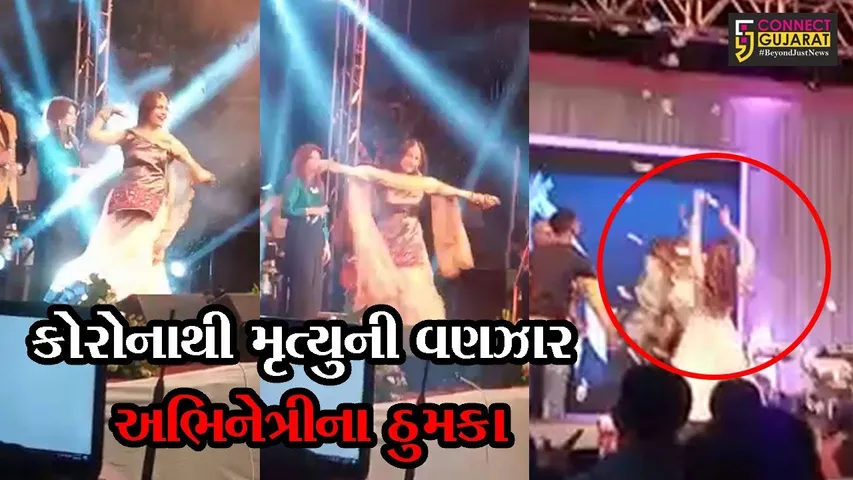 Gujarati actress musical night at Padra attended by people in big numbers