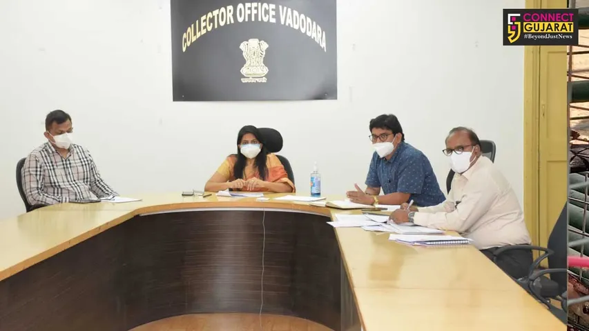 District Collector conducts online review of covid related and health situation in the talukas