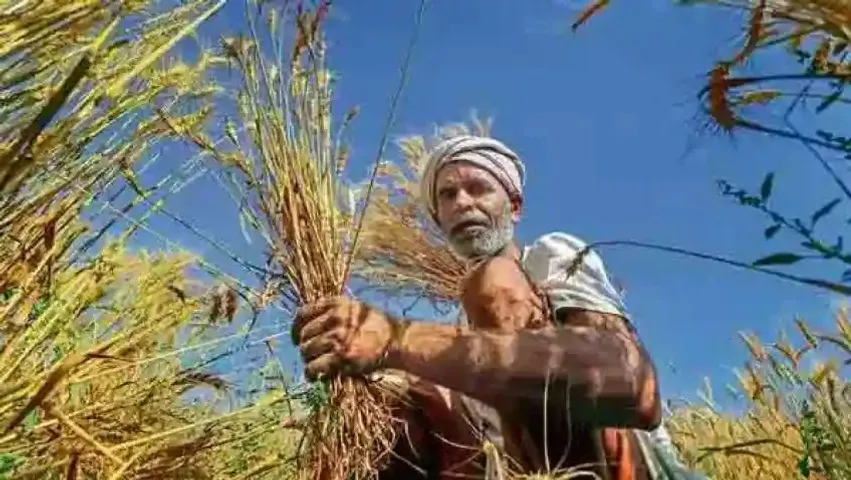 PM releases 8th instalment of Pradhan Mantri Kisan Samman Nidhi to over 9 crore 50 lakh farmers