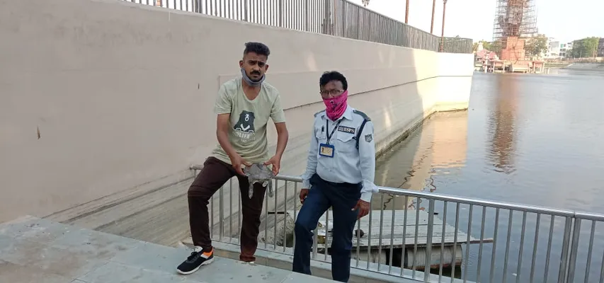 One more tortoise found dead inside the historical Sursagar lake in Vadodara