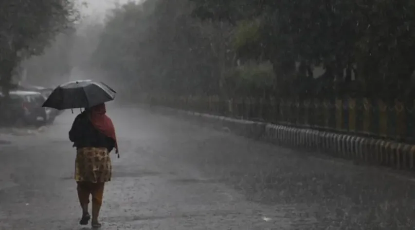 rain22 