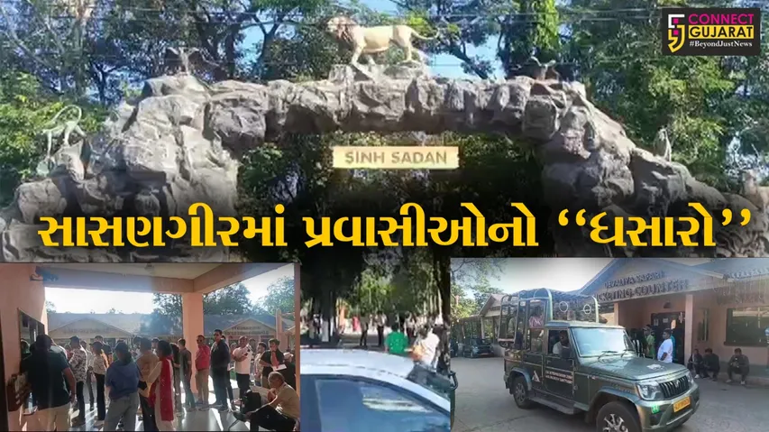 Sasan Gir Tourist