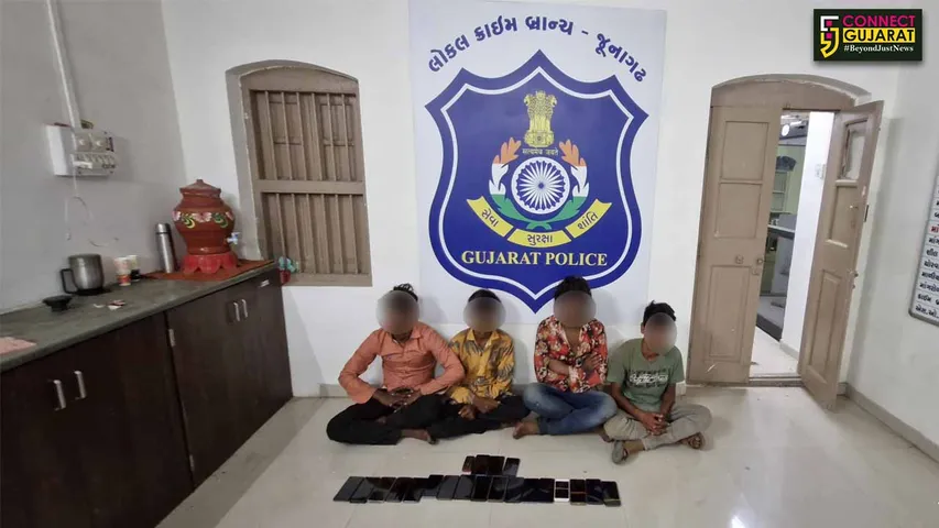 Girnar Lili Parikrama Mobile Theft