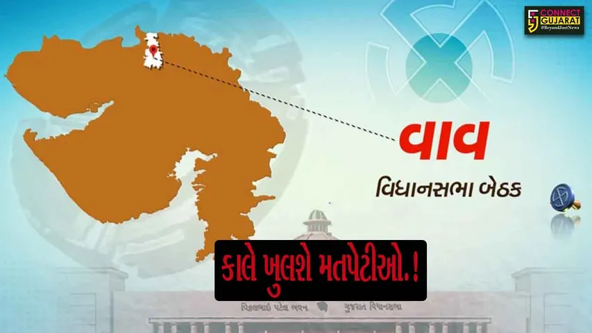 Vav By Election Voting Counting