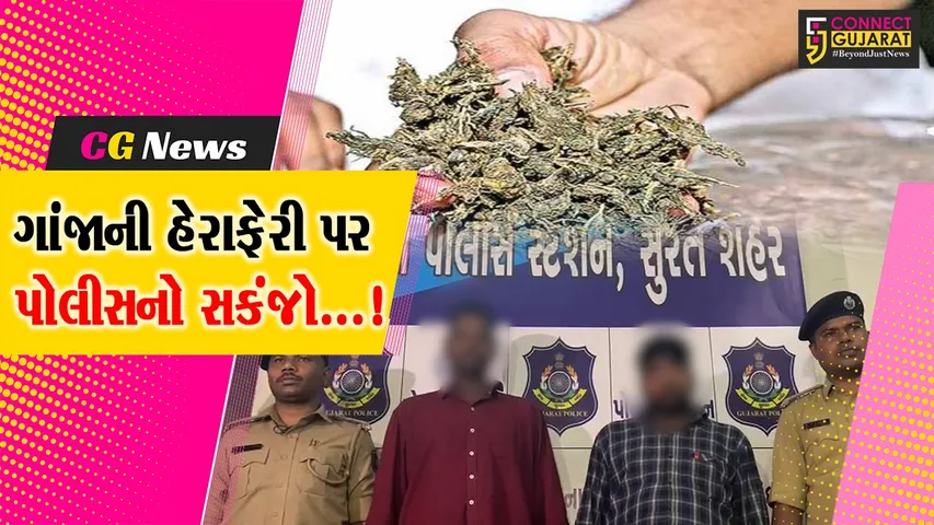 Surat Marijuana Seize
