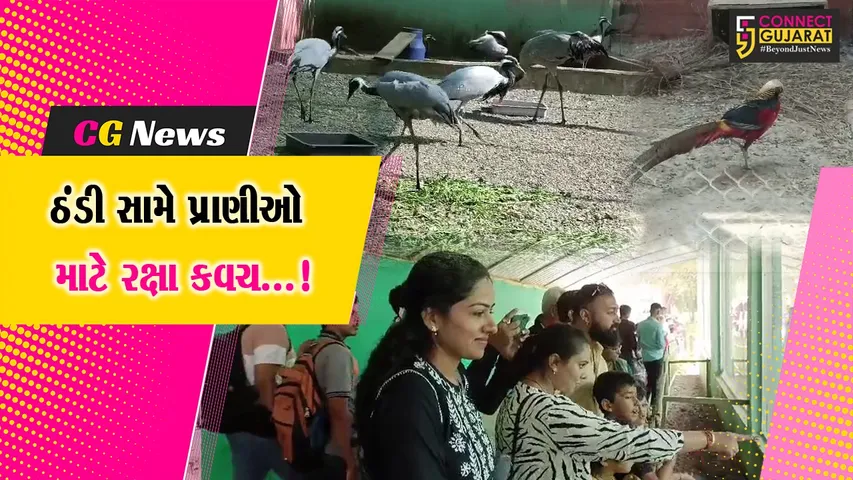 Junagadh Zoo