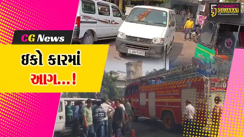 Vadodara Car Fire