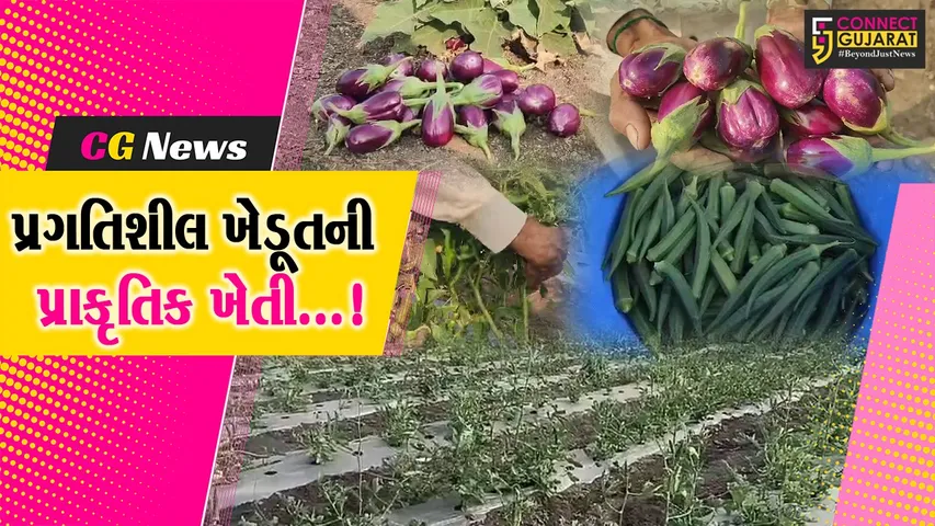 amba village farmer Natural Farming