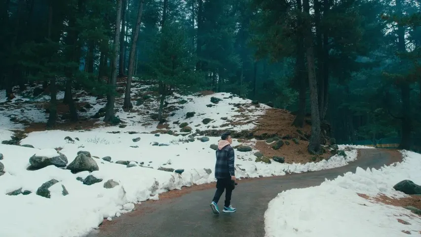 kashmir
