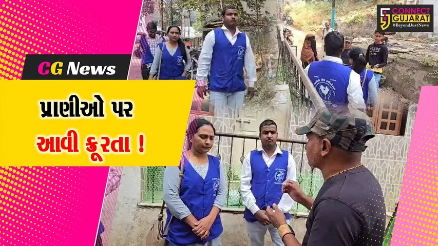 Street Dog Killed