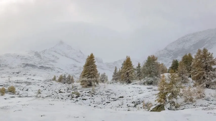 snowfall01