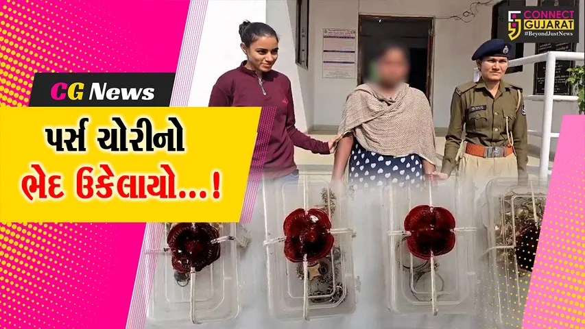 ભરૂચ : સીટી સેન્ટર ખાતેથી વૃદ્ધાના પર્સની ચોરીનો ભેદ ઉકેલાયો, પોલીસે કરી મહિલાની ધરપકડ