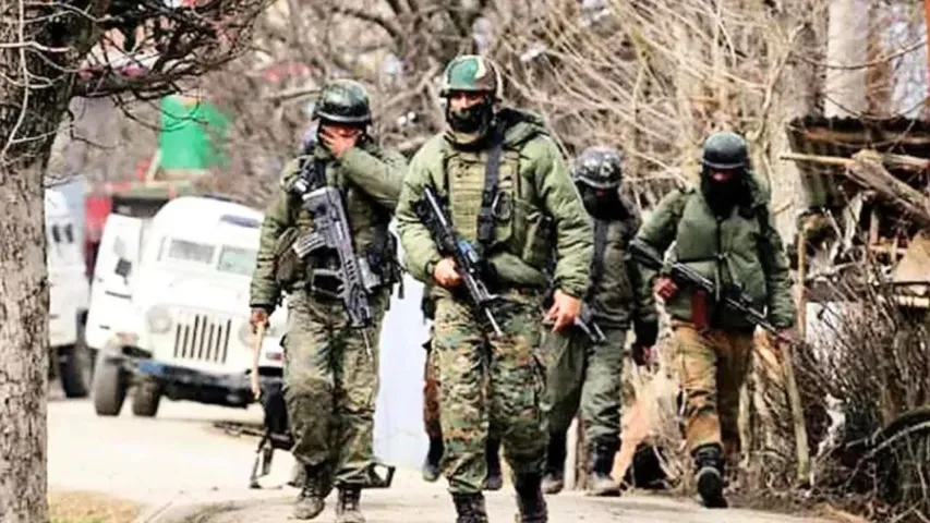 bsf search operation