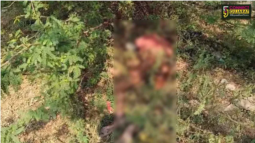 Andada Village Found Deadbody