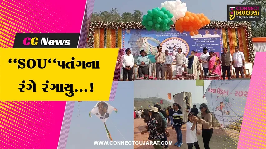 Statue Of Unity Kite Festival