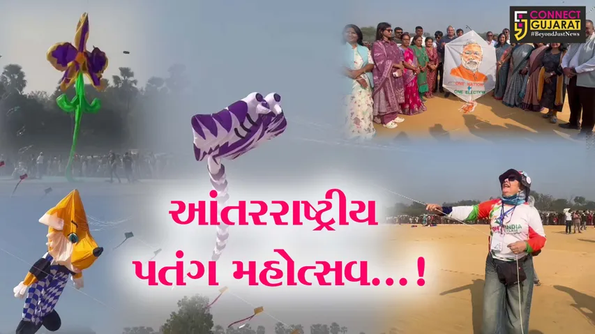 Vadodara International Kite Festival
