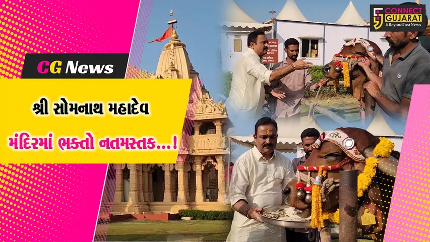 somnath Trust Celebration Makarsankranti