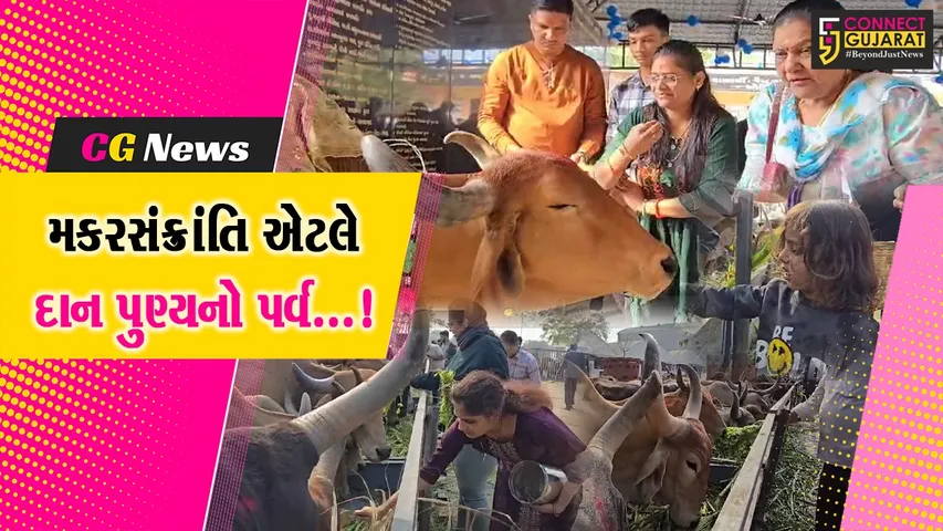 Bharuch Makarsankranti Celebration