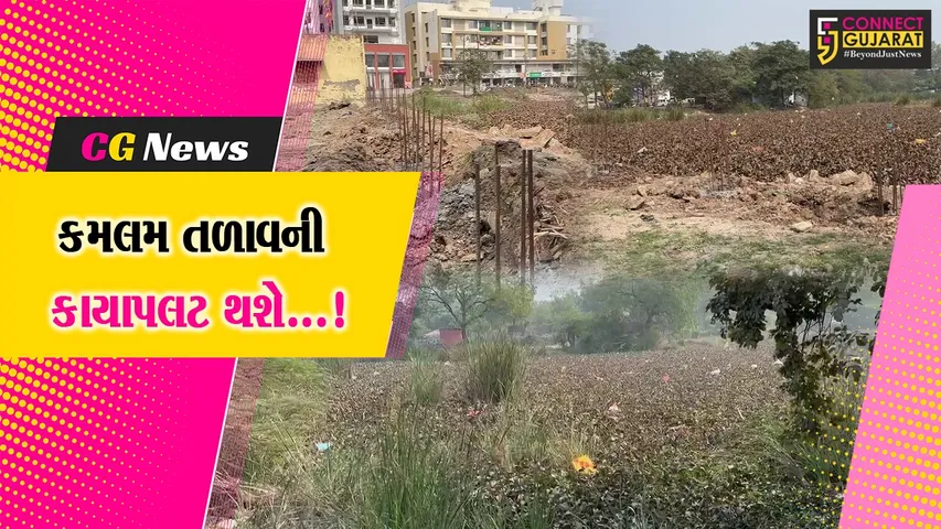 WhatsApp Image 2025-01-17 at 6.44.30 PM