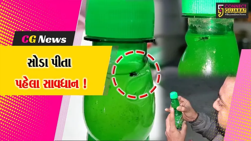 Colddrink Bottle Insect Found
