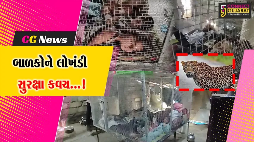 Aamreli Wild Animal