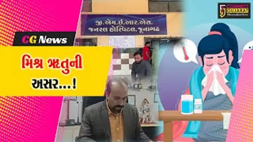 Junagadh Seasonal Deises