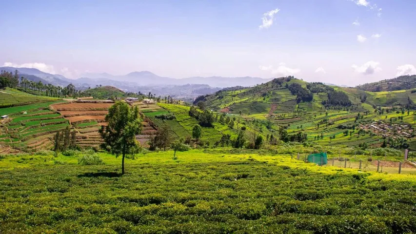 HILLSTATION1