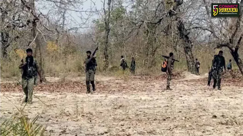 Security forces kill 12 Naxalites
