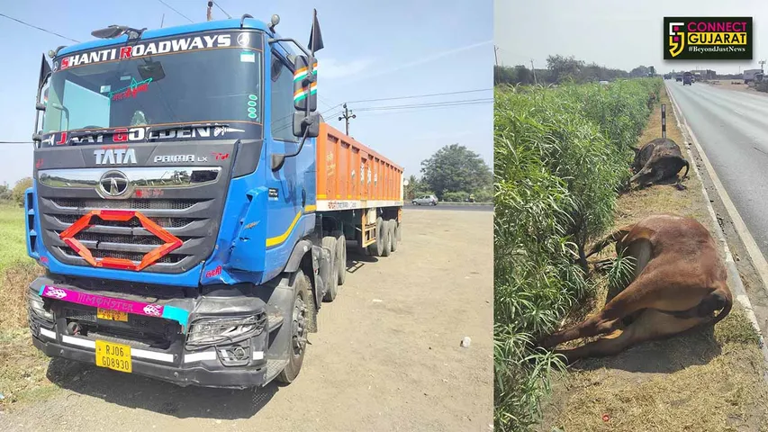 segva Village Accident
