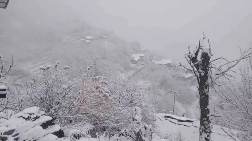 aa