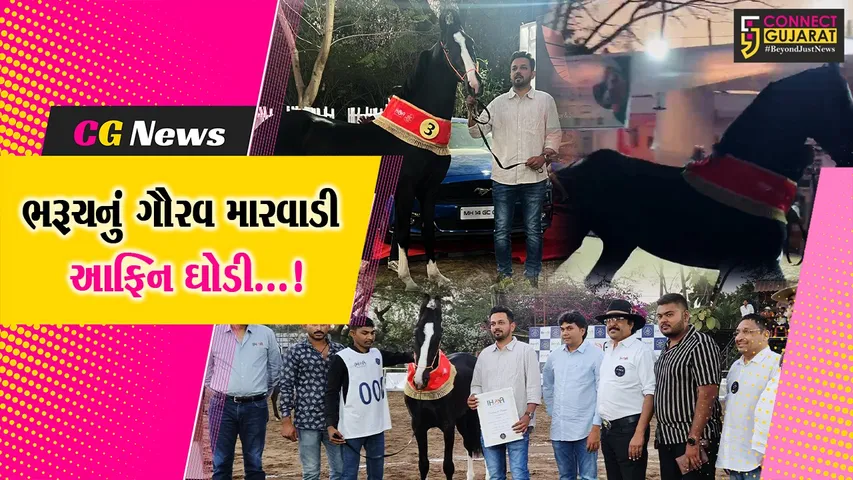 ભરૂચ : પુણામાં રાષ્ટ્રીય સ્પર્ધામાં મિલ્ક તીથ કેટેગરીમાં ત્રીજું સ્થાન પ્રાપ્ત કરતી મારવાડી આફ્રિન ઘોડી