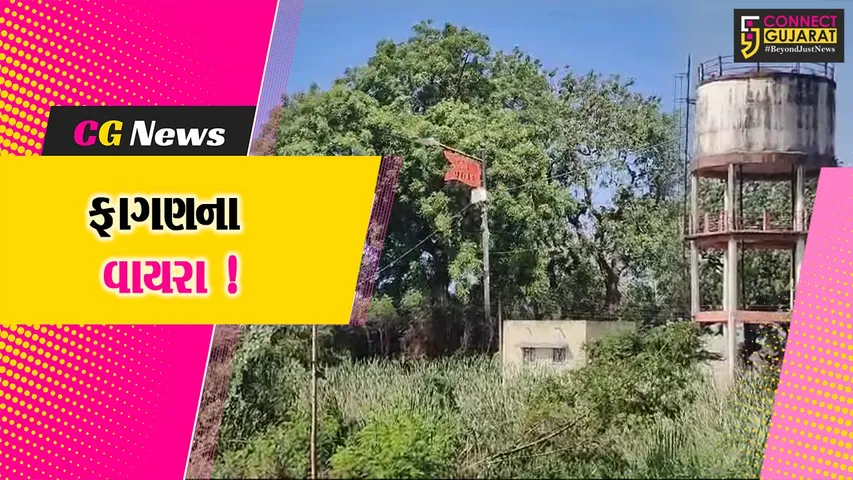 aaa