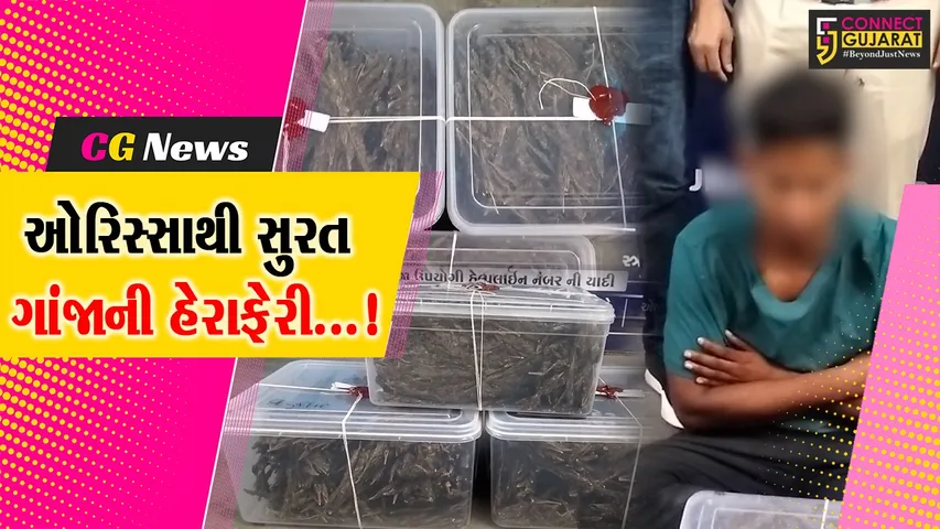 સુરત : ઓરિસ્સાથી ગાંજો લાવનાર આરોપીની પોલીસે ધરપકડ કરીને રૂ.69 હજારથી વધુનો મુદ્દામાલ કર્યો જપ્ત.