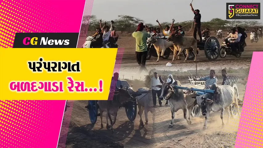 વલસાડ : ભાગલમાં ધુળેટી પર્વ નિમિત્તે યોજાઈ પરંપરાગત બળદગાડાની રેસ,8 સ્પર્ધકોએ લીધો ભાગ